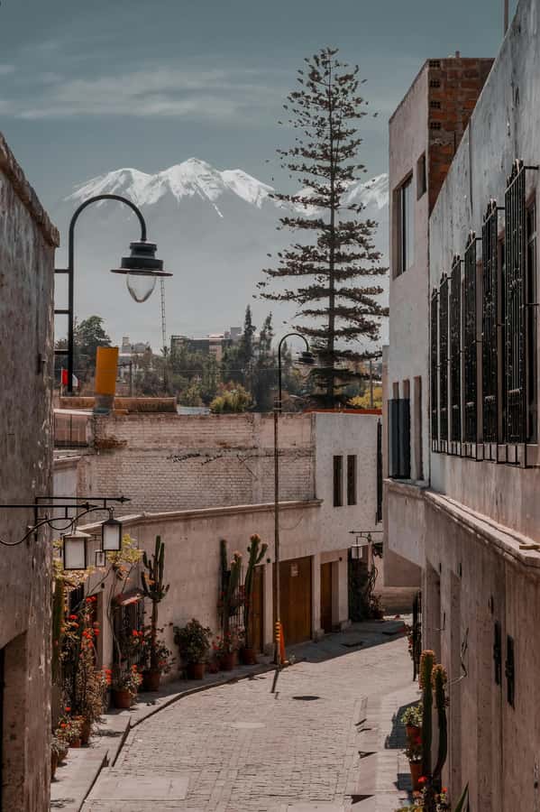 Arequipa: Walk through the Historic Center of the City - Key Things to Know Before You Go