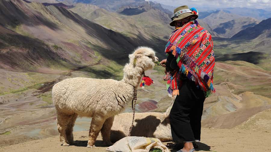 Arrive before the crowd to the Mountain in private service - Key things that make this tour work