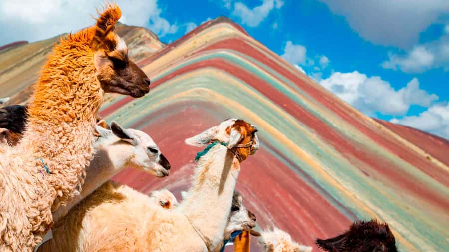 Arrive before the crowd to the Mountain in private service - Leaving Cusco at 3:30 am: why this timing matters