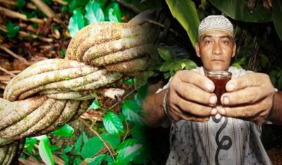 Ayahuasca Ceremony 1 Day in Cusco - Getting to the Remote Spot Near Cusco (and Why It Matters)