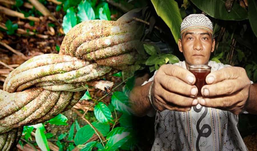 Ayahuasca Ceremony 1 Day in Cusco - Getting to the Remote Spot Near Cusco (and Why It Matters)