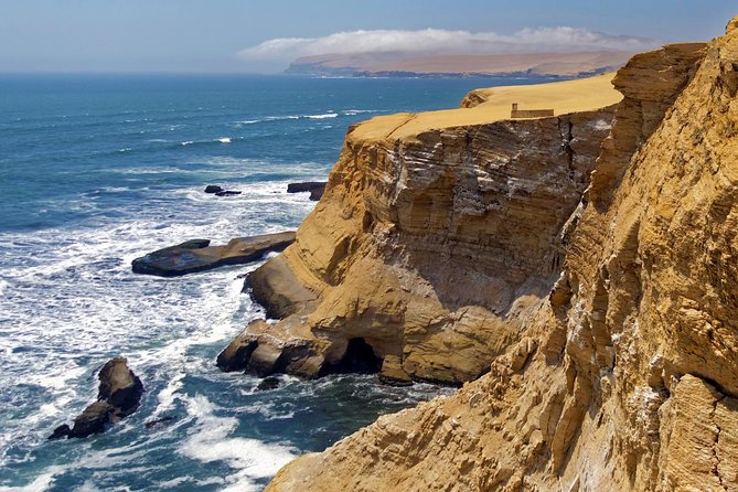 Ballestas island & Paracas reserve from PISCO CRUISESHIP TERMINAL - Wildlife Viewing on Islas Ballestas: Sea Lions and Humboldt Penguins