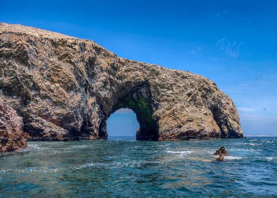 Ballestas Islands and Huacachina Oasis Half-Day Tour - Final Call: Should You Book This Ballestas and Huacachina Tour?