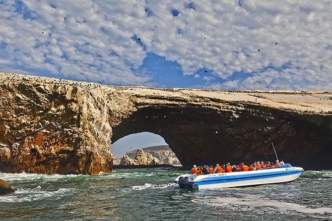 Ballestas Islands from San Martin Port CRUISESHIP TERMINAL - Speedboat to Ballestas Islands: Penguins, Sea Lions, and Caves (If the Sea Behaves)