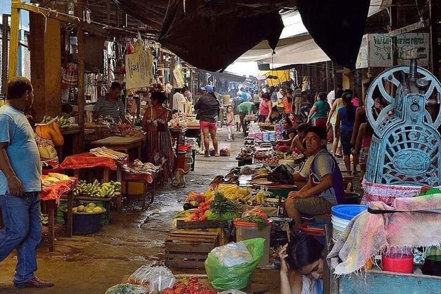 Belen Market & Floating City 2-3 Hour Private Tour - Floating City: seeing a whole community built over the water