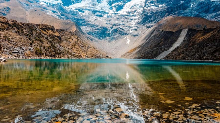 Best of Cusco: Private Walking Tour with a Local - Eating like a local: cuy, alpaca, and coca tea tips