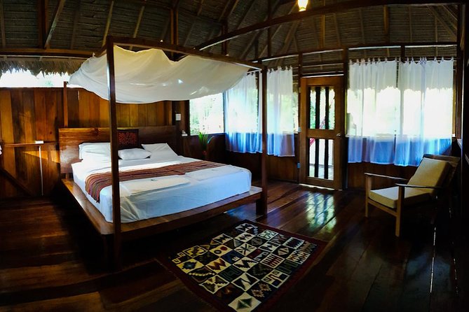 Best of Tambopata 2 nights by JunglePro - Searching for big cats and big smiles: what sightings really depend on
