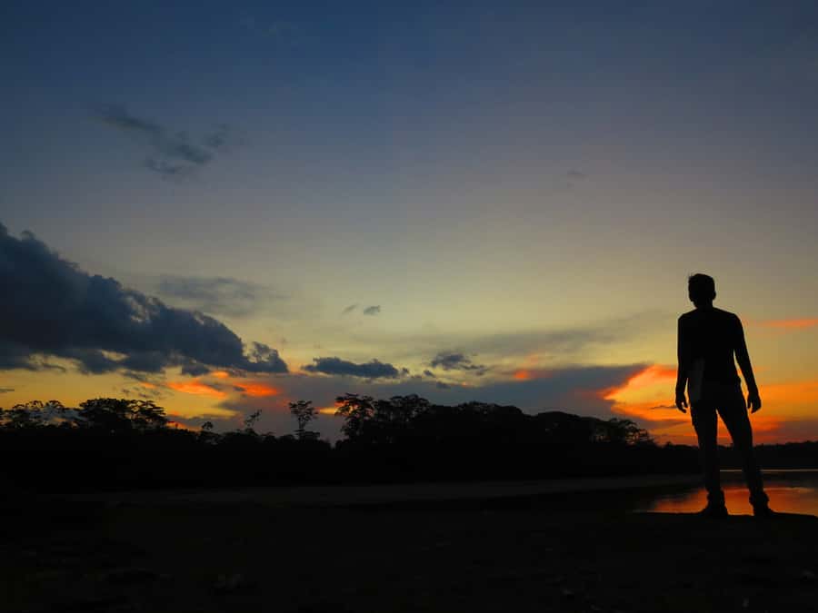 Capibara and caiman search on the Tambopata river - Key things to know before you go