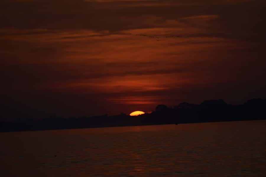 Capibara and caiman search on the Tambopata river - Tips to spot more and stress less