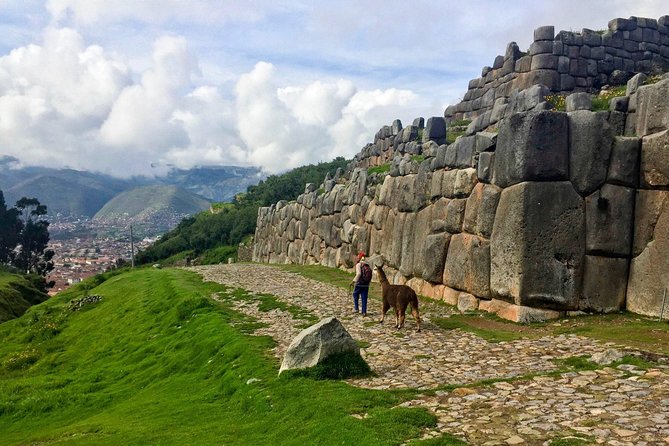 City Tour in Cusco & visit Museum South American Camelid Private. - Puka Pukara: A Hilltop Fortress Feel (and It’s Free)