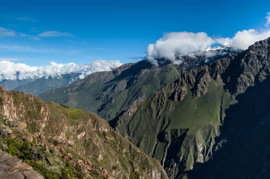 Colca Canyon: 2-Day Tour from Arequipa to Puno - Price and logistics: what you’re really paying for