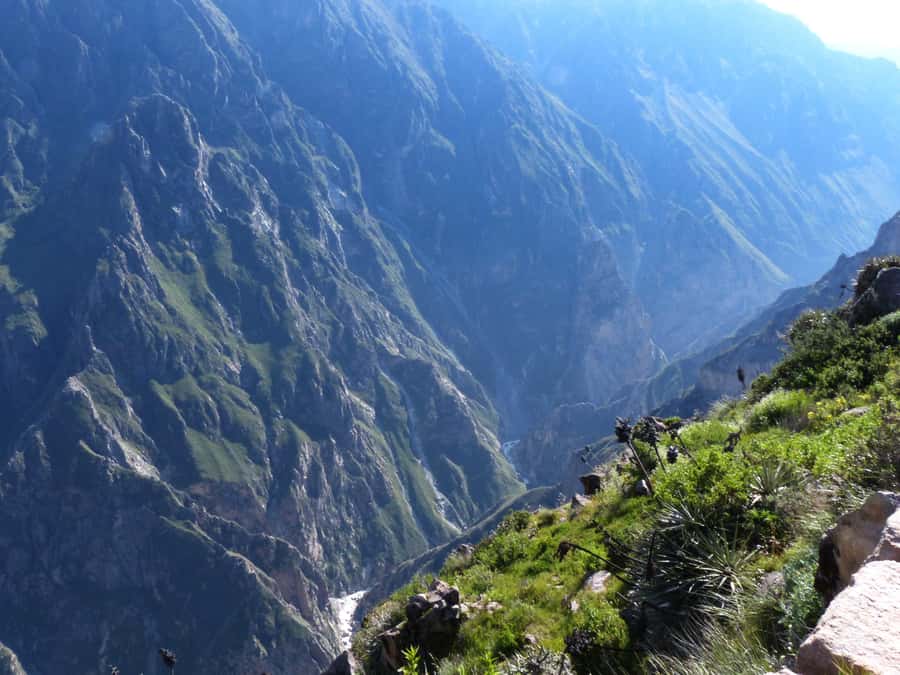 Colca Canyon Day Trip: From Arequipa to Puno - Cruz del Cóndor Viewpoints: The Condor Sanctuary Moment