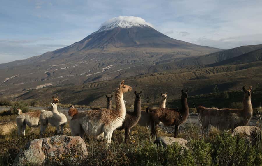 COLCA CANYON FULL DAY TOURS - Cruz del Condor: where the canyon really lands
