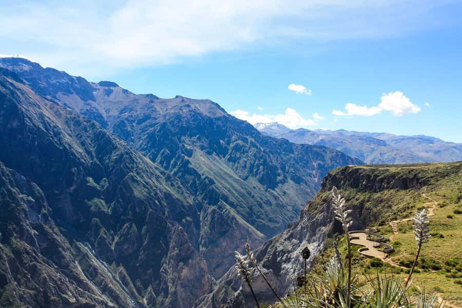 COLCA CANYON FULL DAY TOURS - Price and what it really costs to do it right