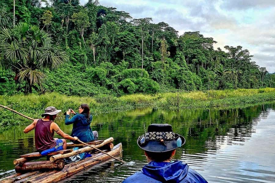 Cusco: 3-Day Tambopata Peruvian Amazon Jungle Tour - Day 2: Lake Sandoval by foot and rowing boat for birds, sloths, and otter chances