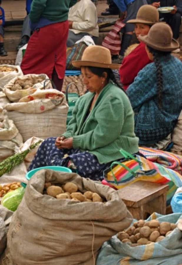 Cusco: 3-Hour Peruvian Cooking Class - Where the class begins: Cusco’s Central Market to ChocoMuseo