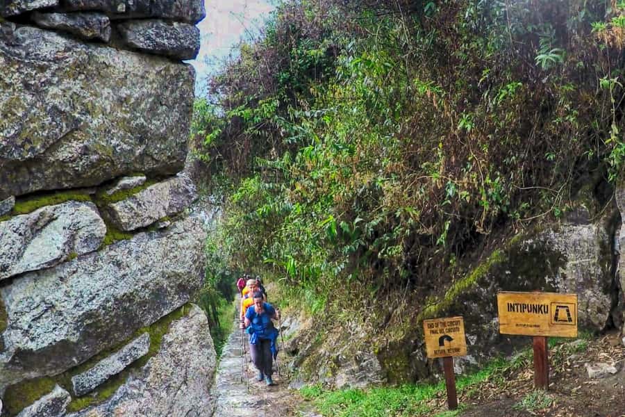 Cusco: 4-Day Inca Trail to Machu Picchu with Accommodation - Day 2: Qhapaq Ñan walking, coffee roasting, and the Qellomayo-to-Santa Teresa pace
