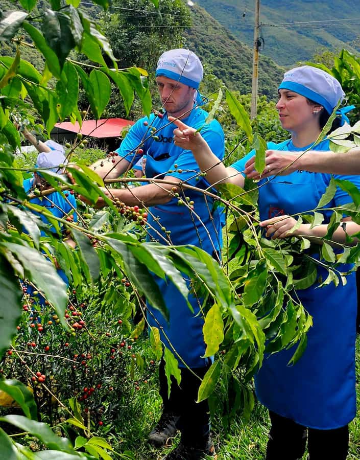 Cusco: 4-Day Salkantay Trek to Machu Picchu, Panoramic Train - Day 3: Lucmabamba Pachamanca, Coffee Farm, Hidroeléctrica, and Aguas Calientes