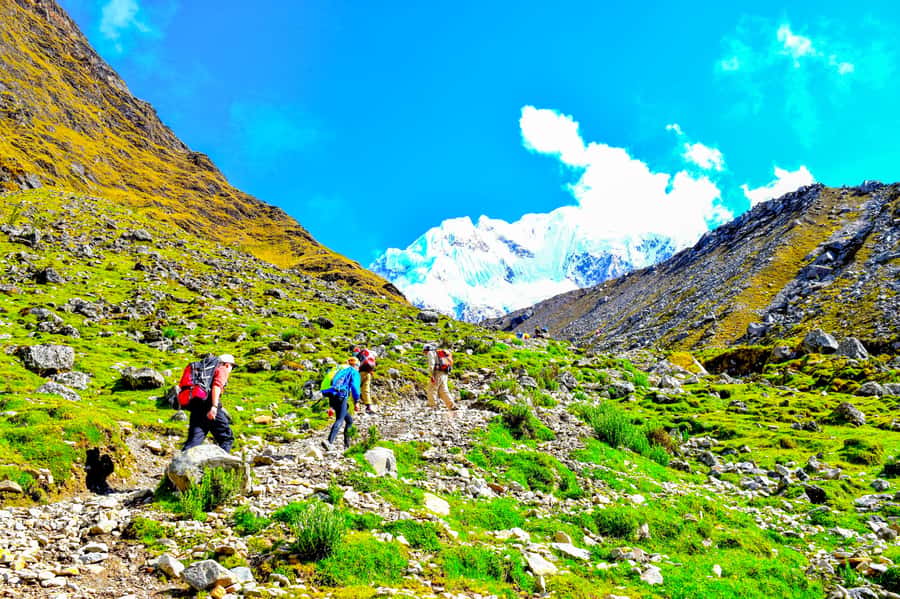 Cusco: 5-Day Salkantay Ultimate Trek to Machu Picchu - Cusco to Machu Picchu, but via Salkantay’s tougher (and better) route