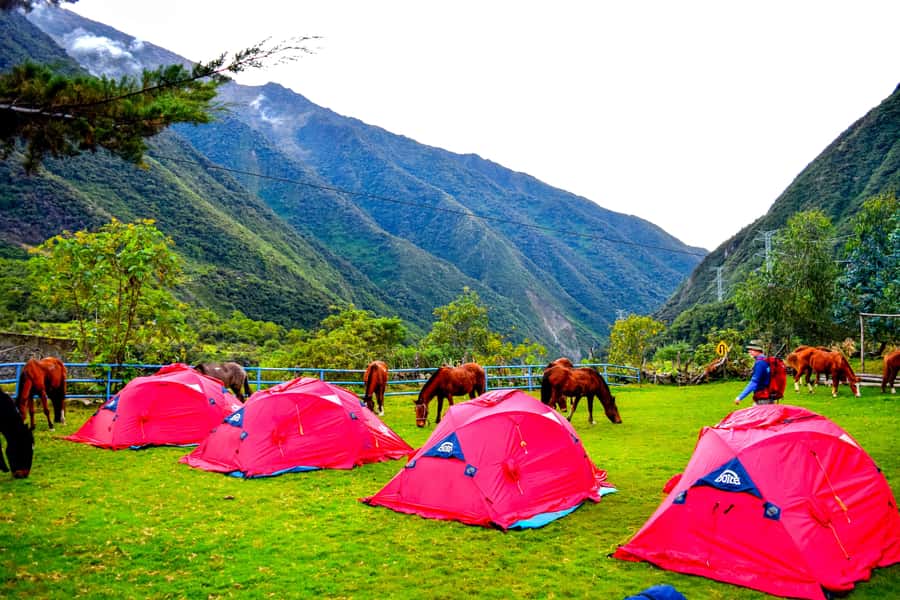 Cusco: 5-Day Salkantay Ultimate Trek to Machu Picchu - Price and value: why $669 can make sense here
