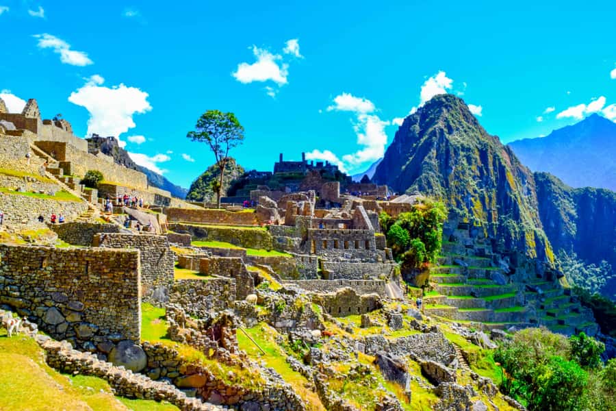 Cusco: 5-Day Salkantay Ultimate Trek to Machu Picchu - Day 3: cloud forest mornings and Playa Sahuayaco down at 2,200 m