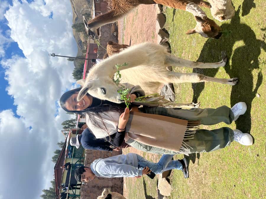 Cusco: Archeological Sites Tour and Forest Photo Experience - Qenqo Forest Photo Session: Turn Ruins Into a Memory