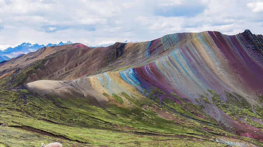Cusco : Full day Palcoyo Mountain of colors - Key things to know before you go