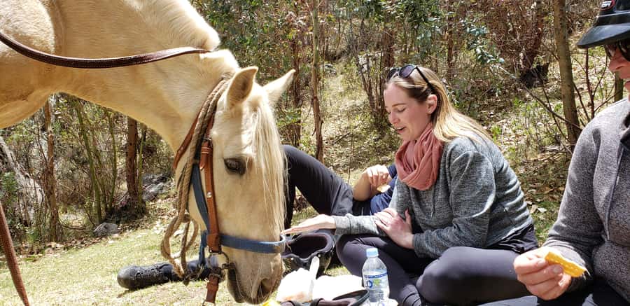 Cusco: Half-Day Horseback Riding at Devil's Balcony - Meeting Your Horse at the Ranch: What the Intro Really Prepares You For