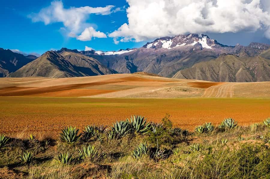 Cusco: Moray, Maras Salt Mines, and Chinchero Weavers Tour - What to bring for comfort and photos
