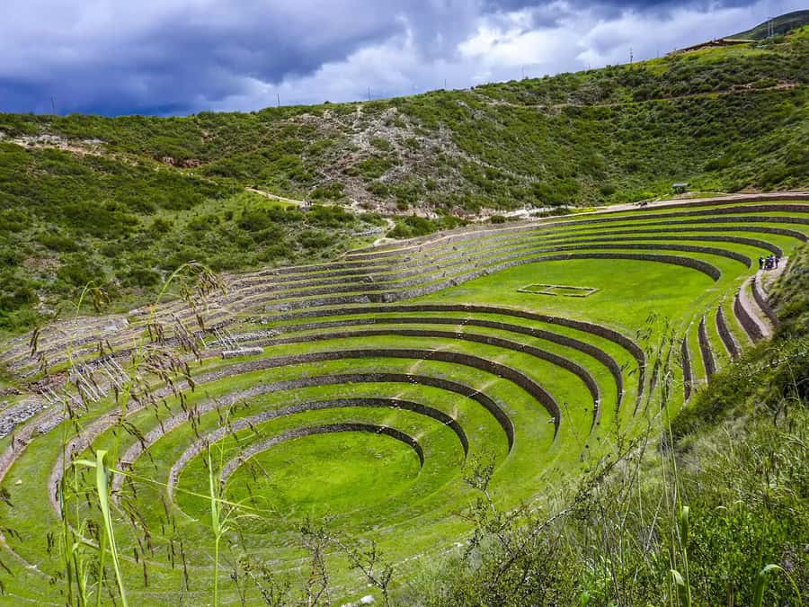 Cusco: Moray, Maras Salt Mines, and Chinchero Weavers Tour - Chinchero weavers: natural dye, Quechua tradition, and practical shopping time