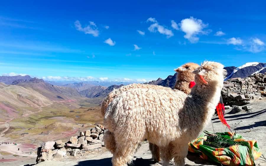 Cusco: Mountain of 7 colors Vinicunca and the Red Valley (optional) - Practical packing and on-mountain tips for cold, altitude, and photos