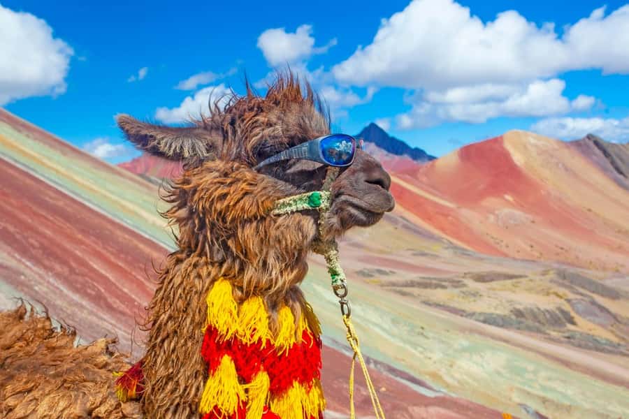 Cusco : Rainbow Mountain and Red Valley Tour - Why Vinicunca and Valle Rojo Work So Well in One Day