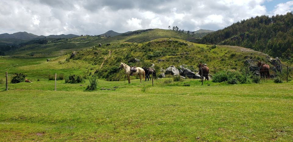 Cusco: Sacsayhuaman Guided Tour and 1-Hour Horseback Ride - Price and logistics: does $90 feel fair?