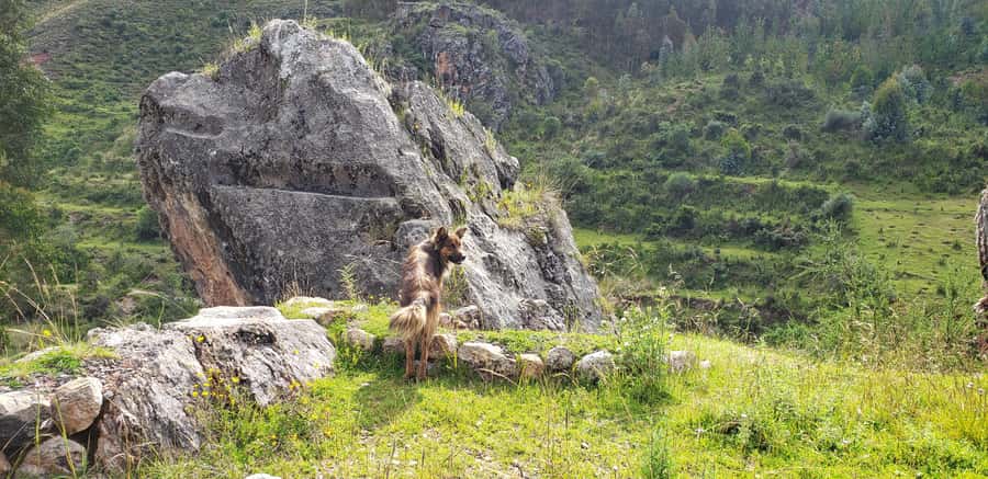 Cusco: Sacsayhuaman Guided Tour and 1-Hour Horseback Ride - Who should book this tour (and who should skip it)