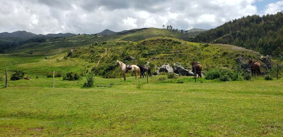 Cusco: Sacsayhuaman Guided Tour and 1-Hour Horseback Ride - Should you book it? My straight answer