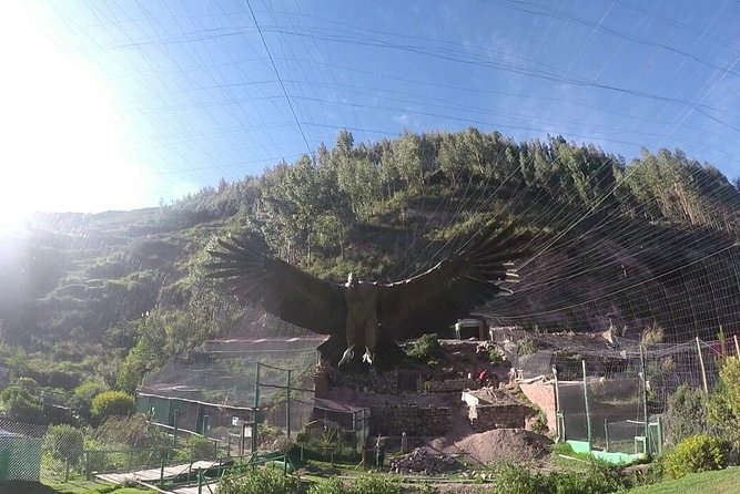 Cusco Santuario de Animales Rescatados en Cusco - Quick highlights
