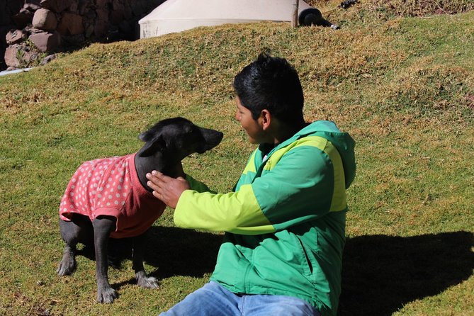 Cusco Santuario de Animales Rescatados en Cusco - The Animal Care Mission: Rescue, Rehabilitation, and Natural Habitat Goals