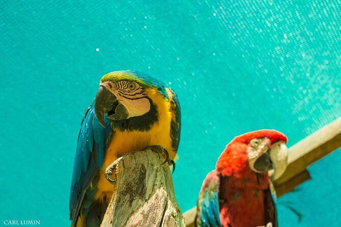 Cusco Santuario de Animales Rescatados en Cusco - Logistics That Make It Easier: Tickets, Language, and Small-Group Feel