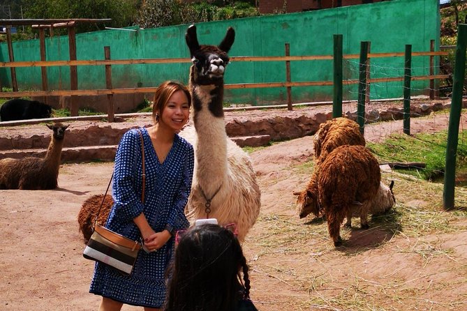 Cusco Santuario de Animales Rescatados en Cusco - Who Should Book This Sanctuary Tour (and Who Might Not)