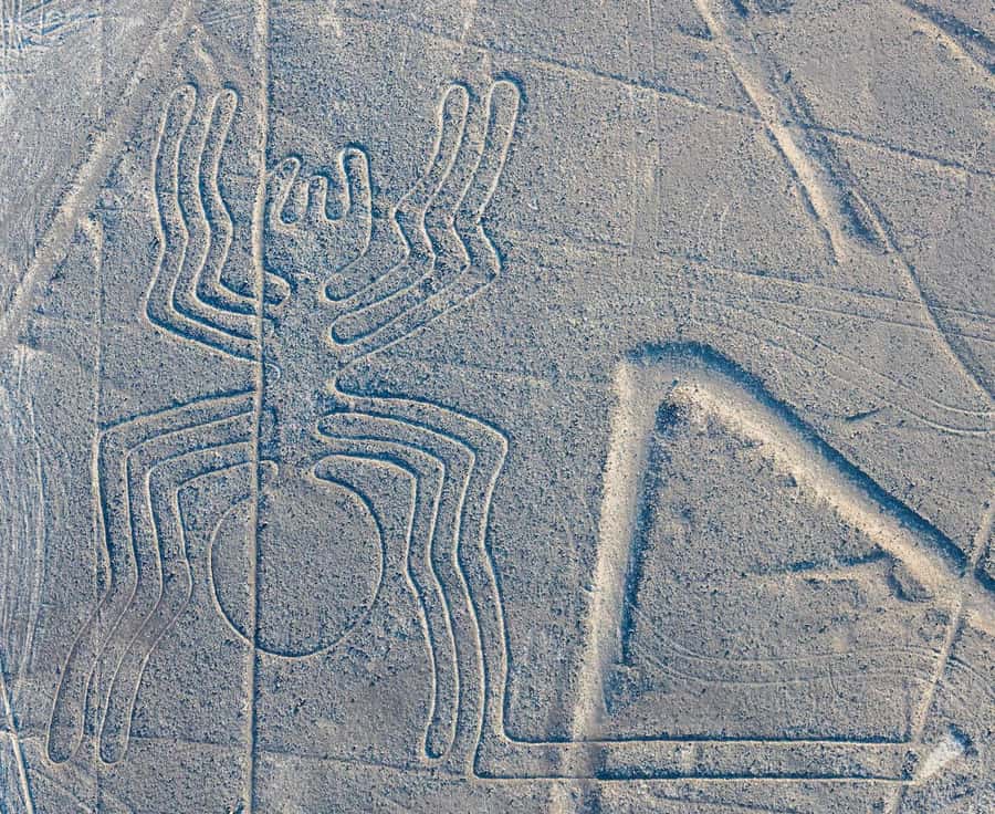 Discover Paracas, Ica and Nasca in a 2 days and 1 night trip - Nasca to Lima by Cruz del Sur: the long ride at the end