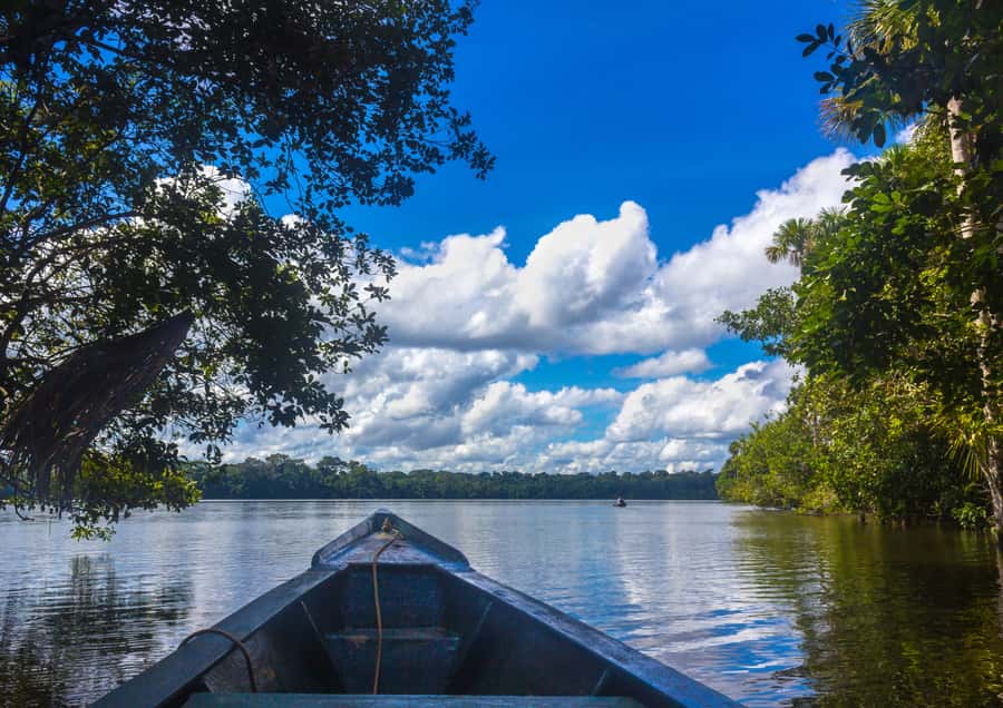 Excursion 3 days/2 nights in the jungle - Day 1: Puerto Maldonado Pickup, Jungle Orientation, and Caiman Time