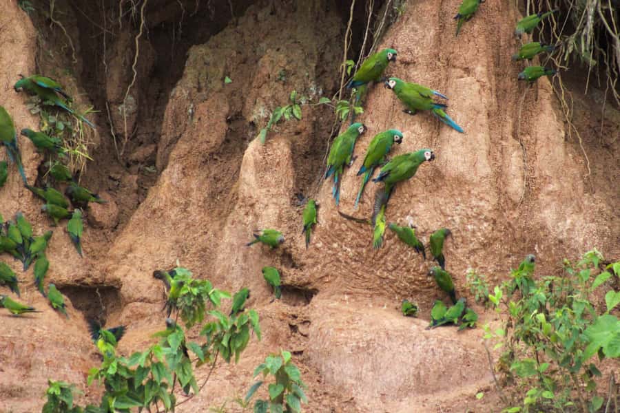 Excursion 3 days/2 nights in the jungle - What You’ll Actually See (So You Can Set Good Expectations)