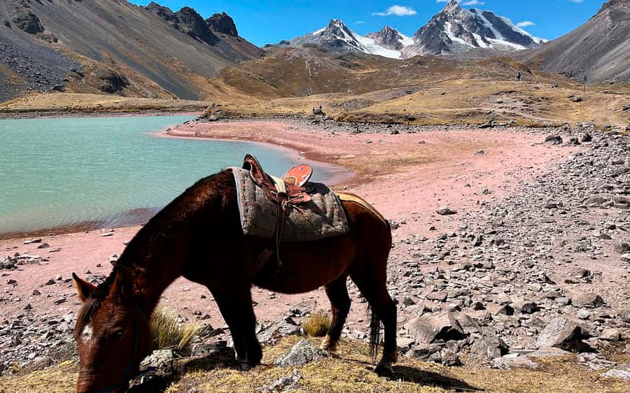 Excursion: Explore in one day the 7 lakes of Ausangate from Cusco - A Very Early Cusco Departure That Sets the Tone