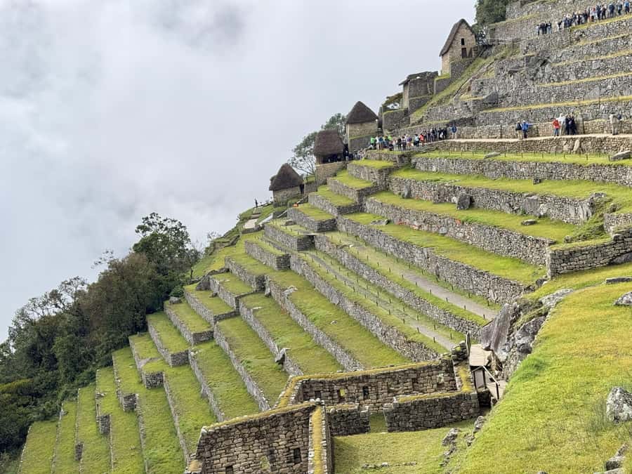 Excursion from Cusco to Machu Picchu + Entrance Tickets Incl - Free time at Machu Picchu: how to use it without getting lost