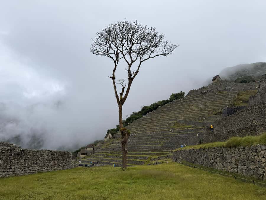 Excursion from Cusco to Machu Picchu + Entrance Tickets Incl - Aguas Calientes lunch time: convenient, but don’t count on a long sit