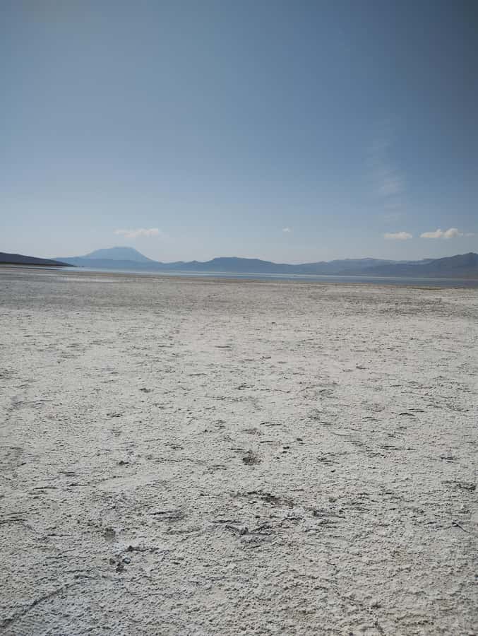 Excursion: Lagoon and National Reserve of Salinas and Aguada Blanca in Arequipa. - Key things I’d plan around