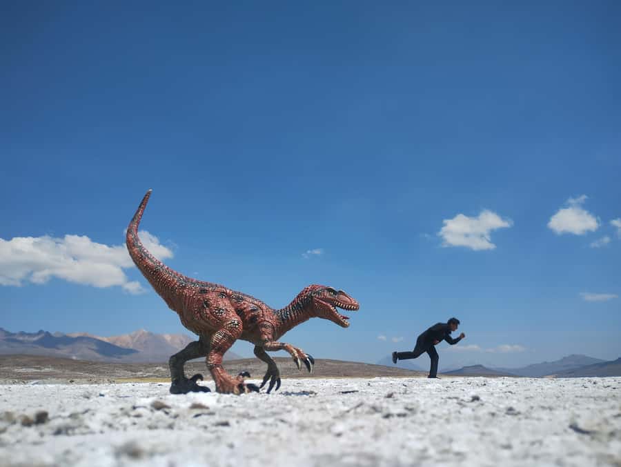 Excursion: Lagoon and National Reserve of Salinas and Aguada Blanca in Arequipa. - Volcano Viewpoint, Queñuales, and Yaretales: The Andes as a Classroom