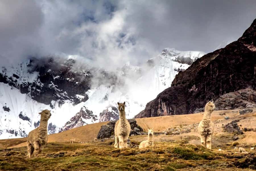 Excursion: Rainbow Mountain and Ausangate 7 Lagoons 2 days - What’s Included vs. What You Must Bring