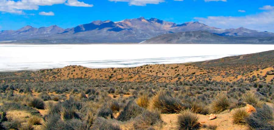 Excursion Salinas Lagoon and National - PichuPichu salt flats and saltpeter production: the Salar’s worksite look