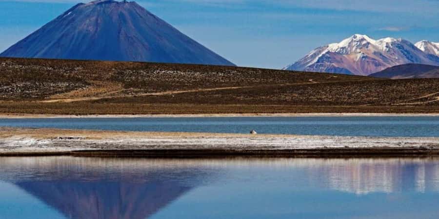 Excursion Salinas Lagoon and National - Chiguata viewpoint + Mirador de los Volcanes: seeing the volcano picture